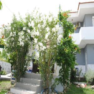 Karmik Concept Bed & Breakfast